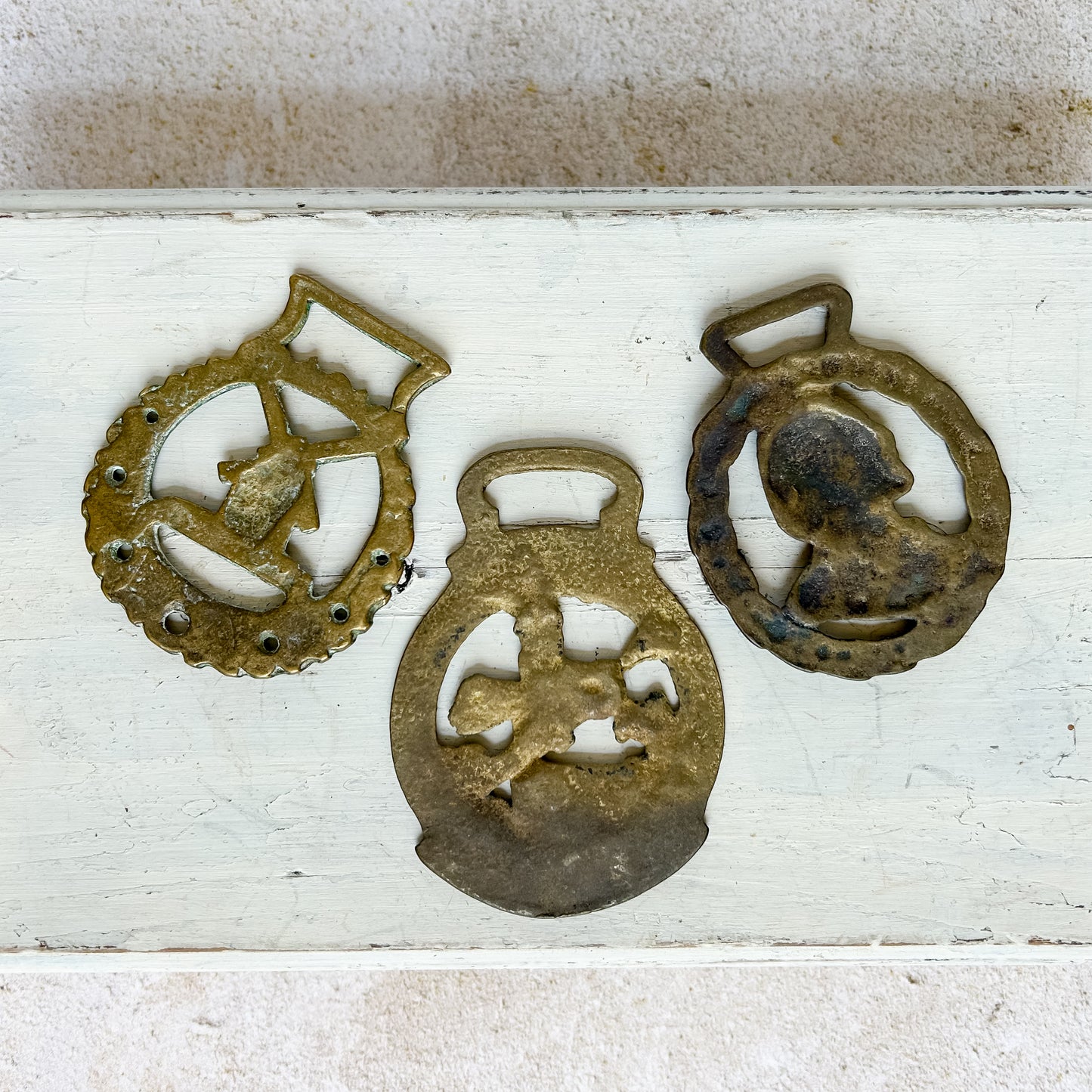 Horse Bridle Brass