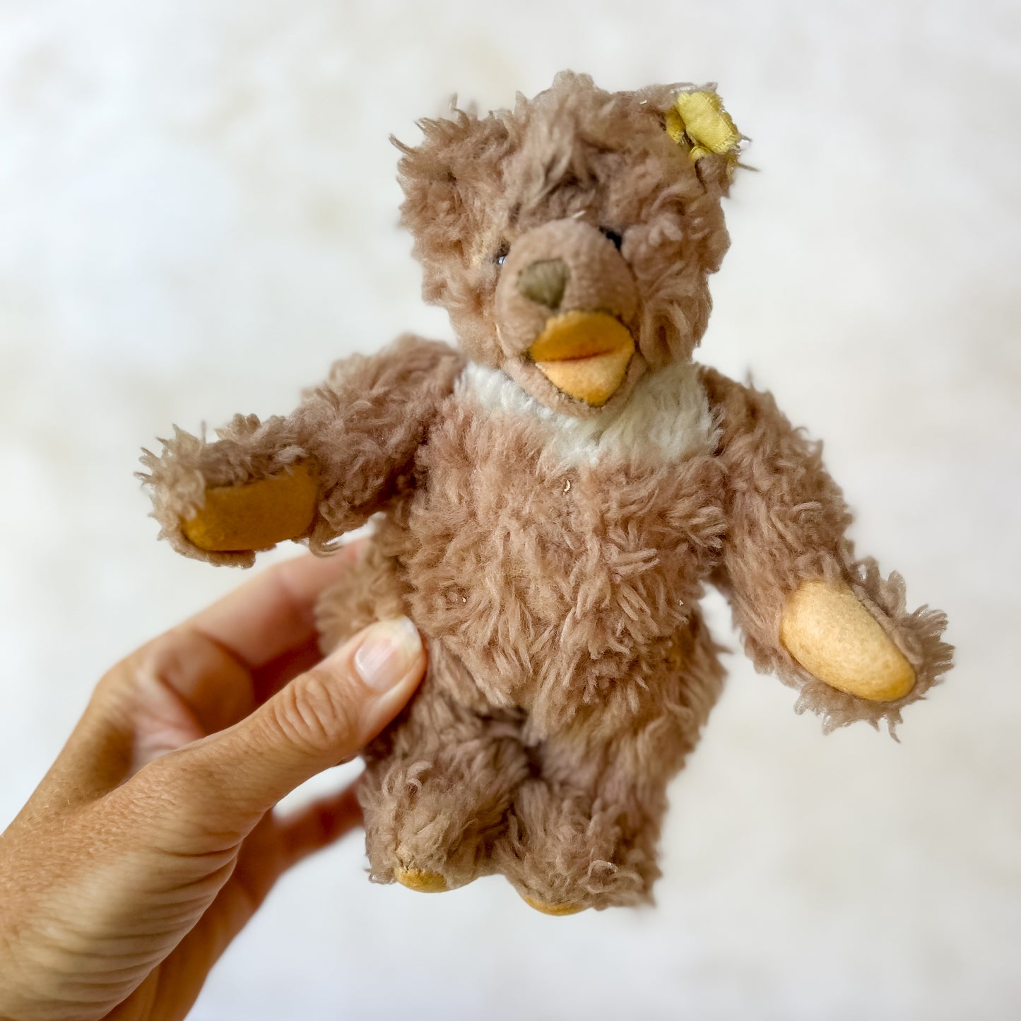 Vintage Steiff Zotty Bear