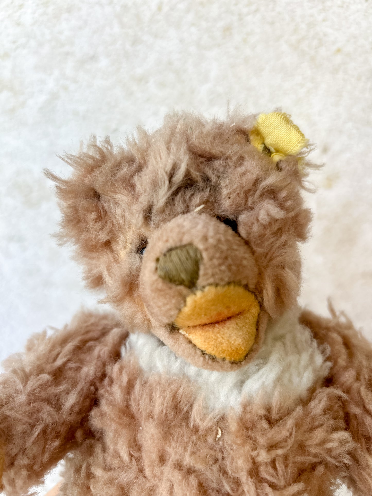 Vintage Steiff Zotty Bear