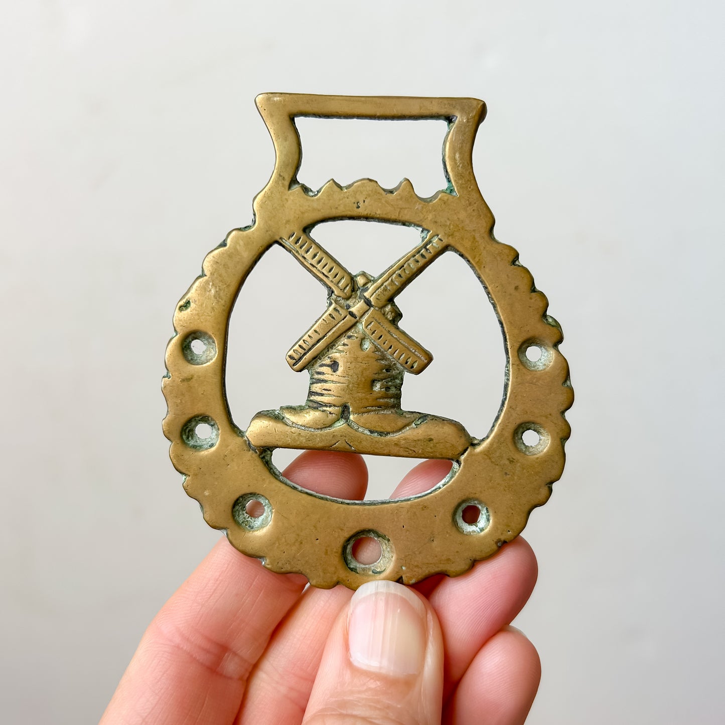 Horse Bridle Brass