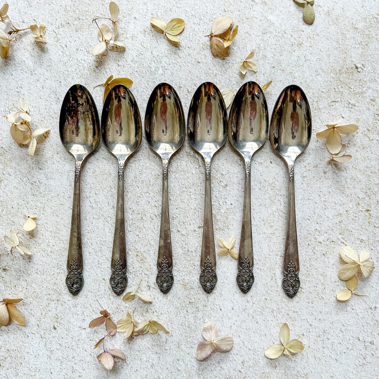 Set 6 Oneida Distinction Spoons