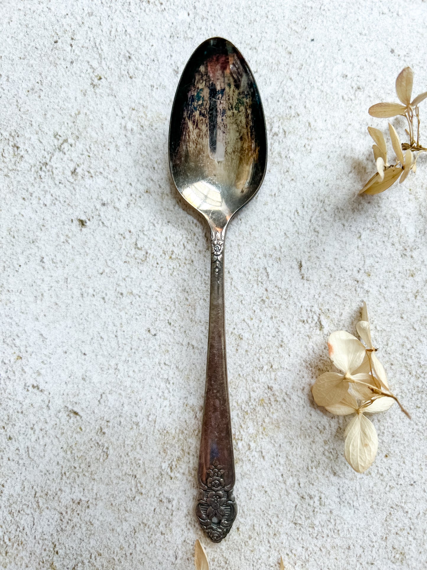 Set 6 Oneida Distinction Spoons