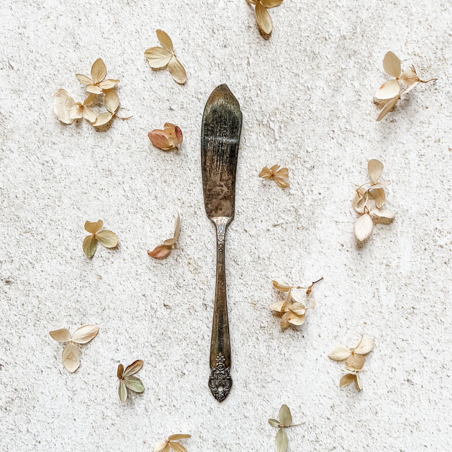Oneida Distinction Master Butter Knife