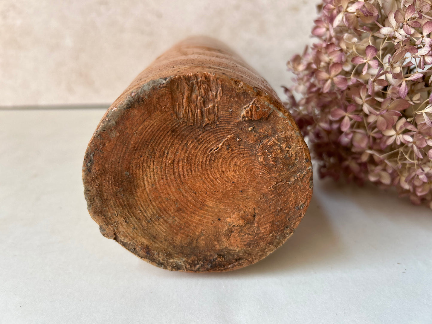 Close-up of a textured wooden object with a dried flower on a light background