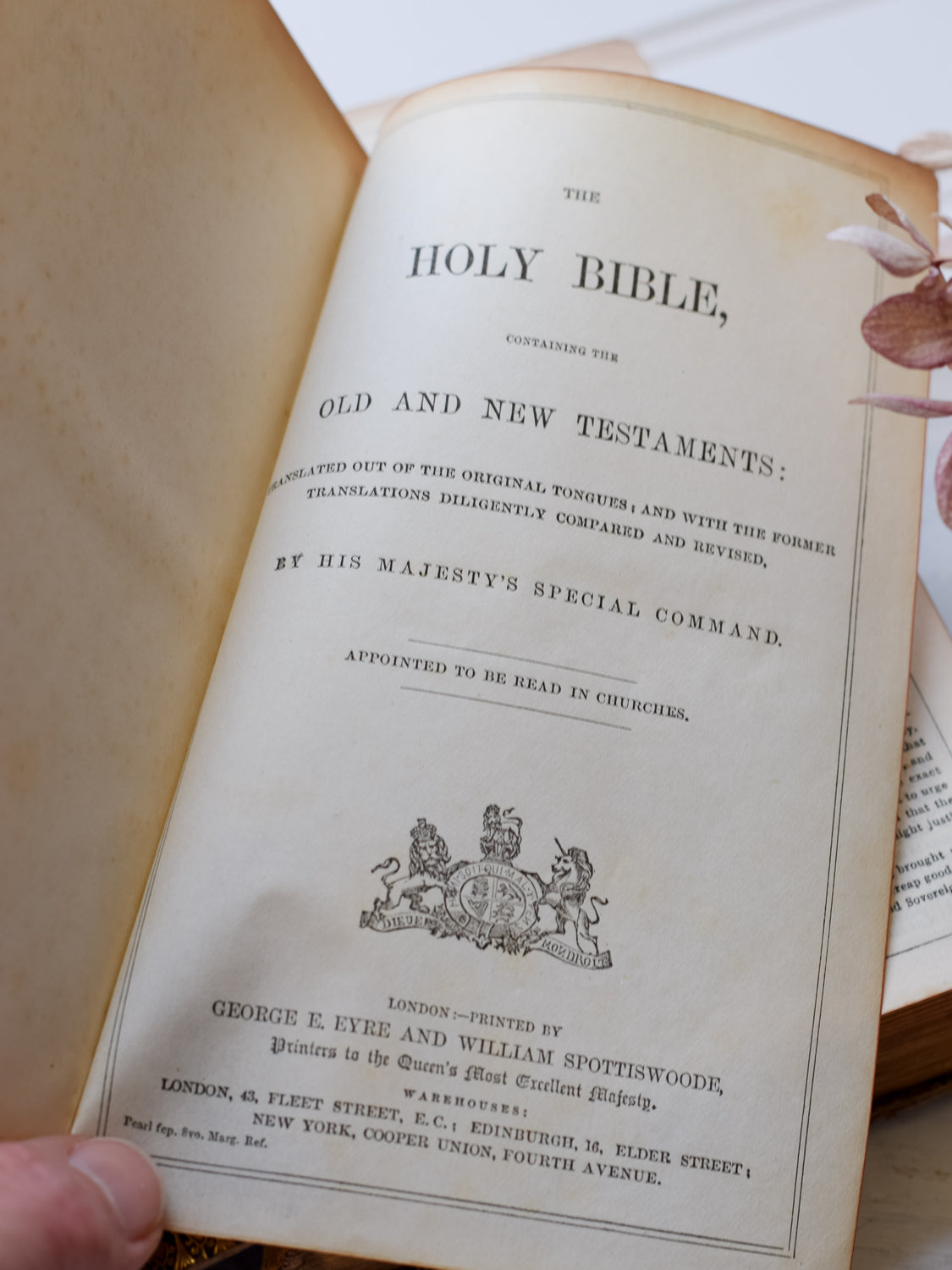 Antique King James Bible with Surprise