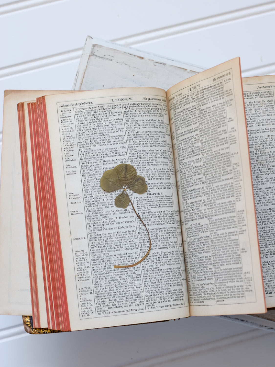 Antique King James Bible with Surprise
