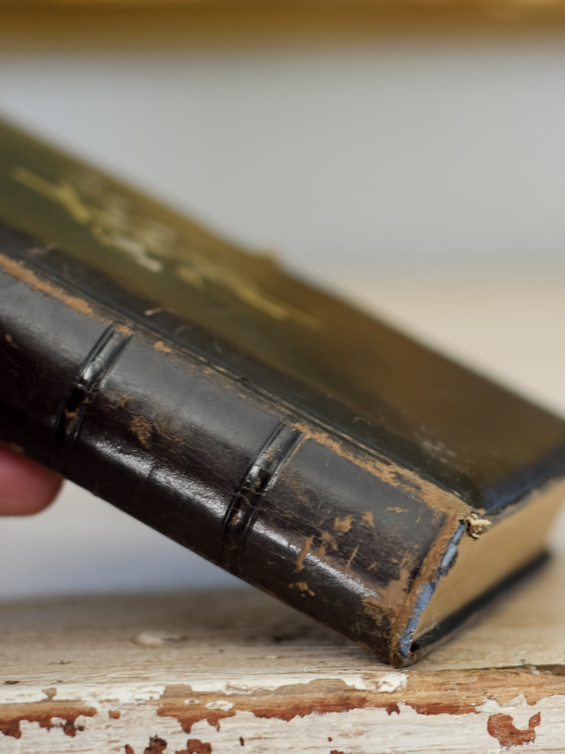 Antique Evangelical Lutheran Hymnal 1883