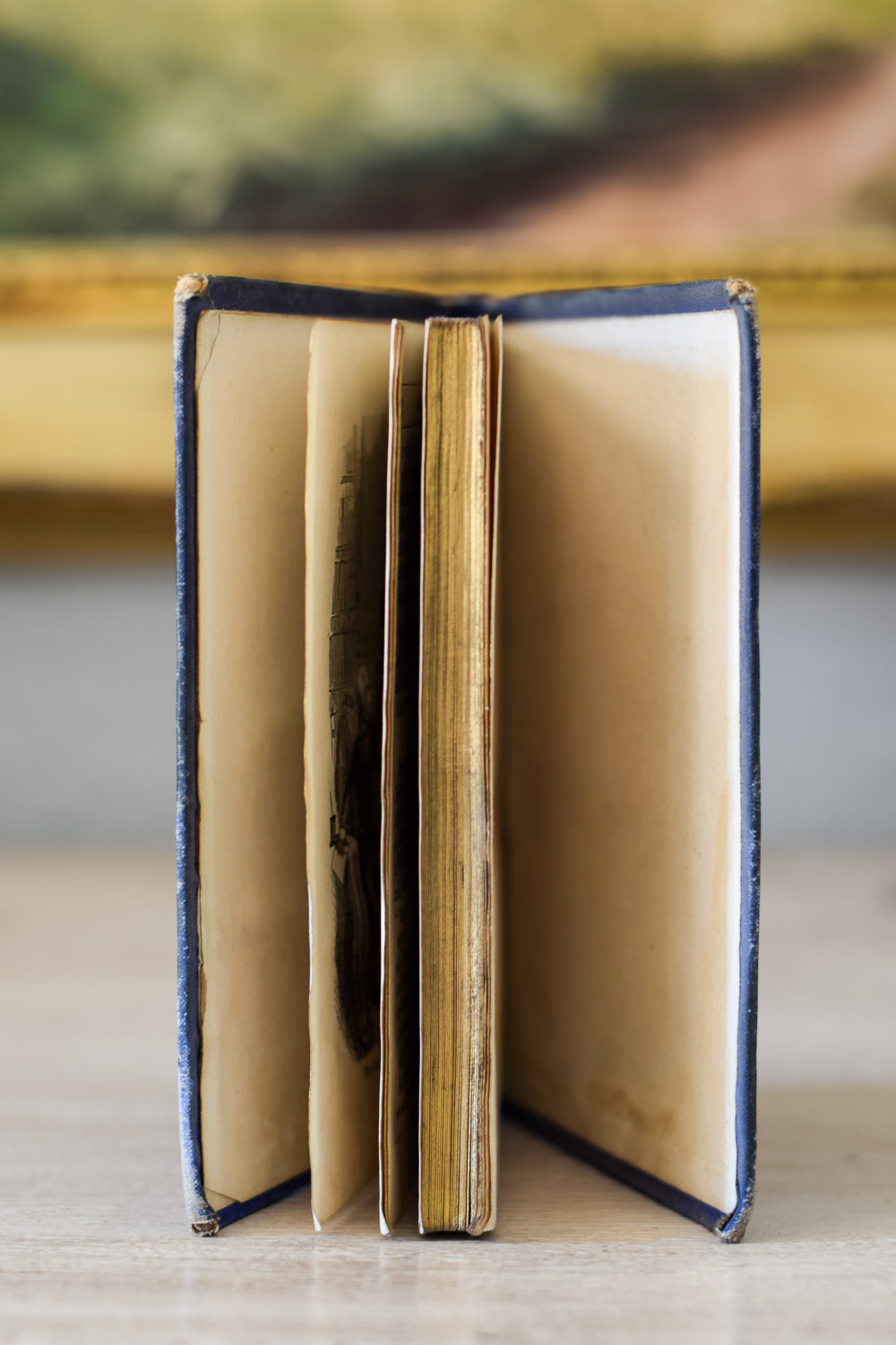 Flowers from Foreign Fields Antique Book