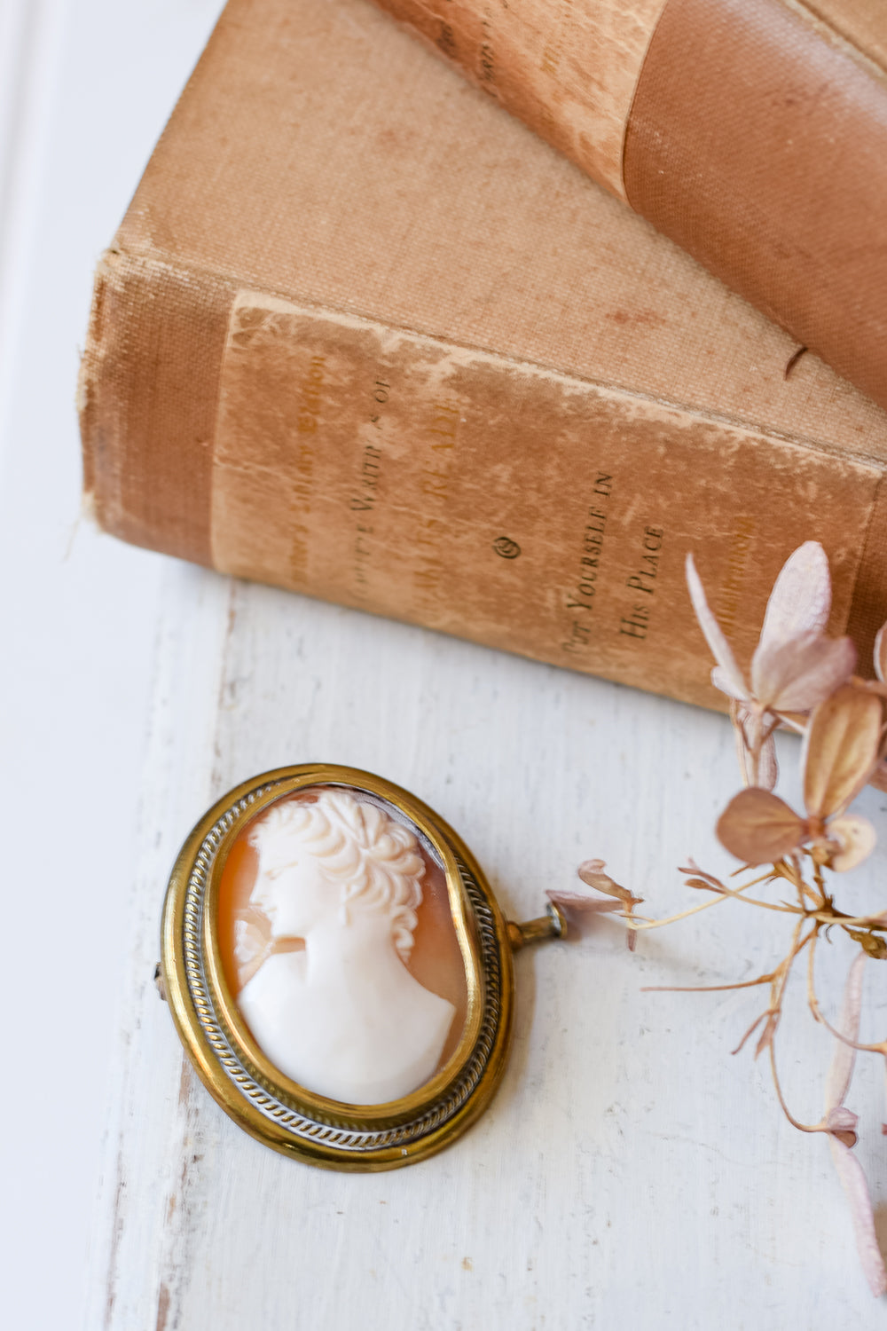 Antique Cameo Pin