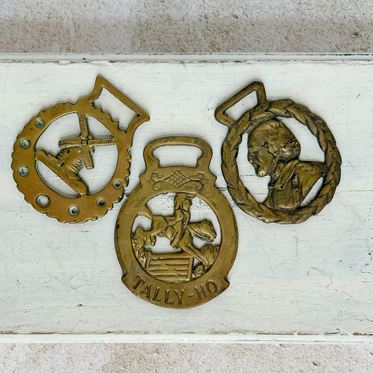 Horse Bridle Brass