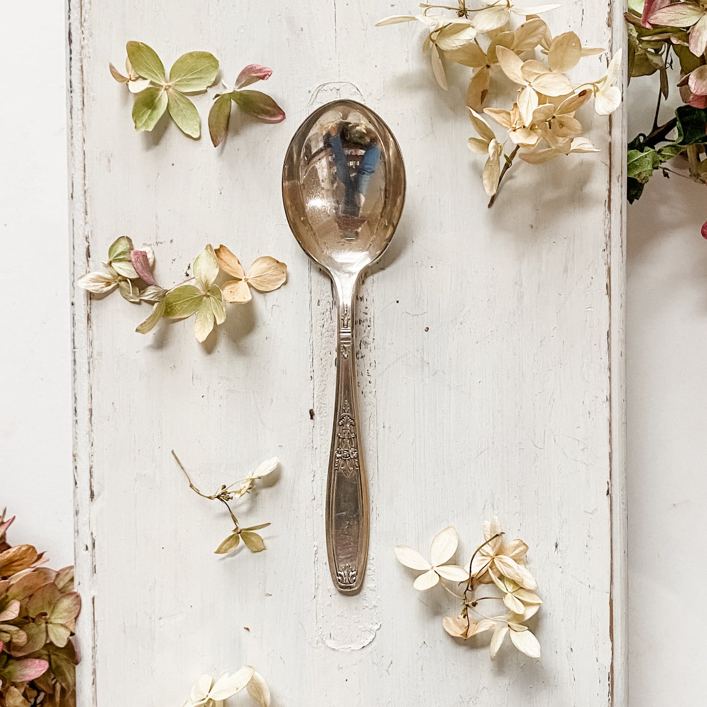 WM Rogers Ambassador Berry Spoon