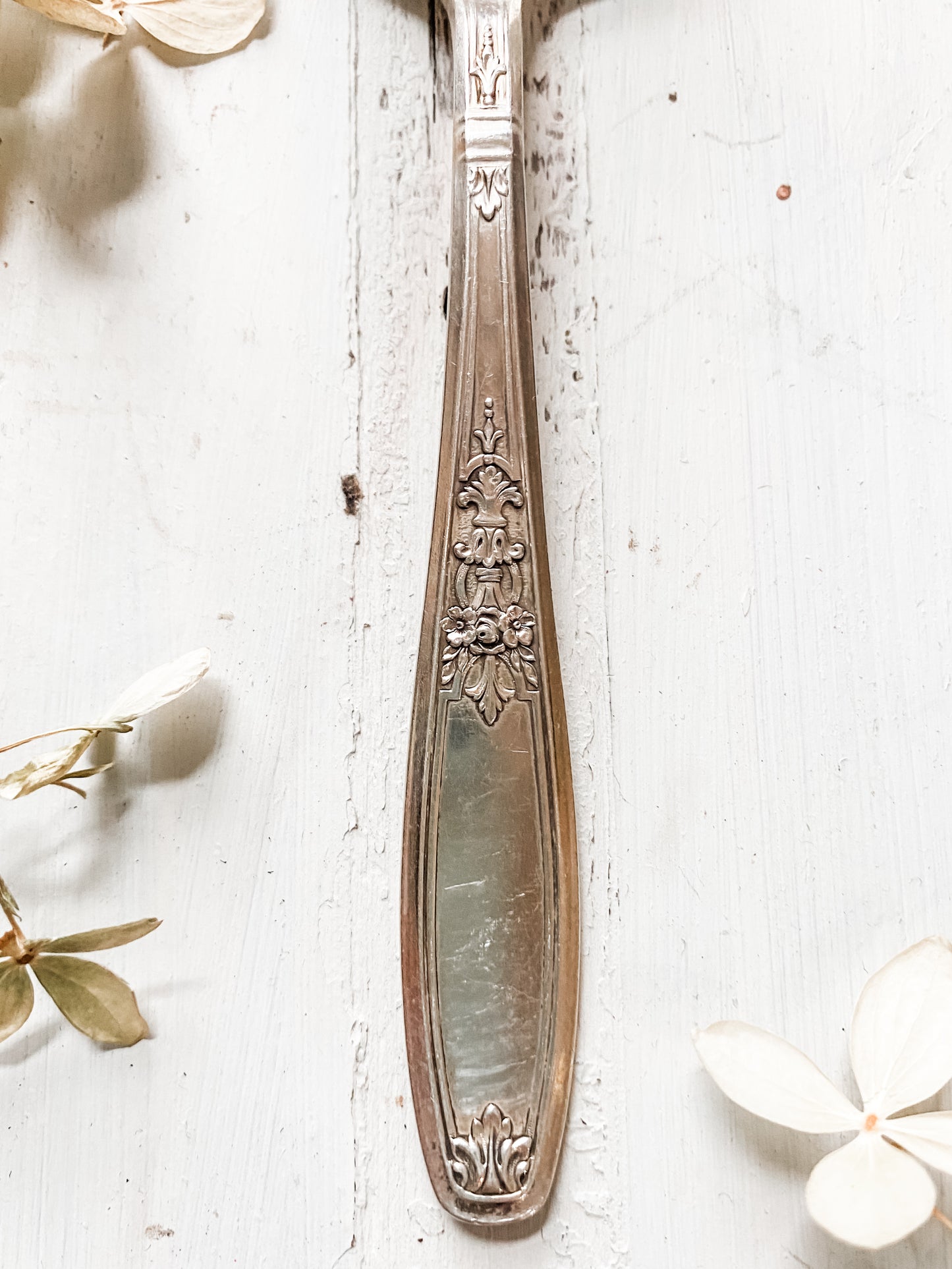 WM Rogers Ambassador Berry Spoon