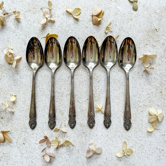 Set 6 Oneida Distinction Spoons