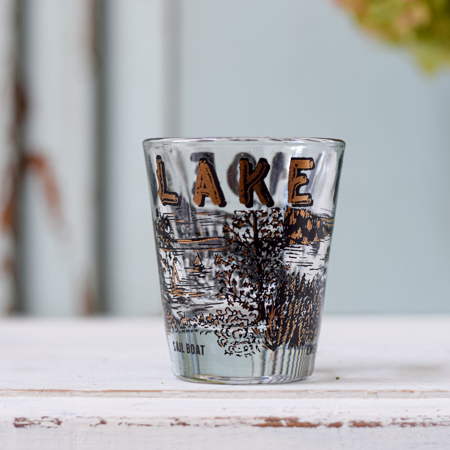 Travel Souvenir Shot Glasses