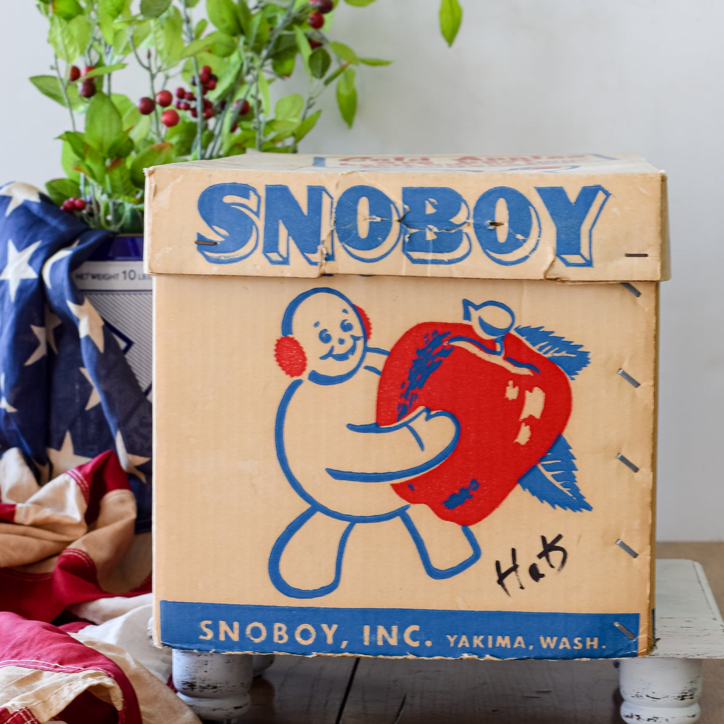 Vintage Snoboy Apple Box