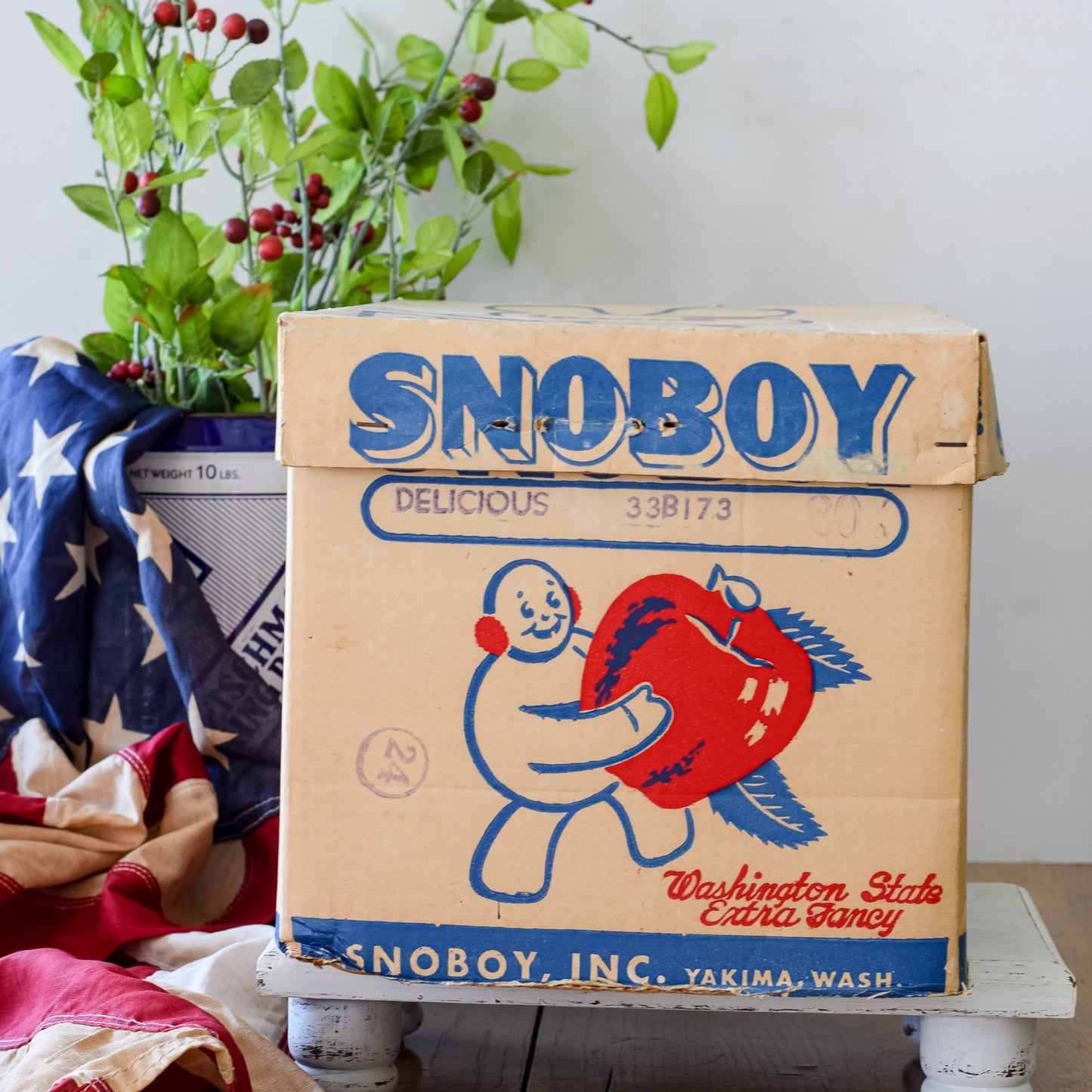 Vintage Snoboy Apple Box