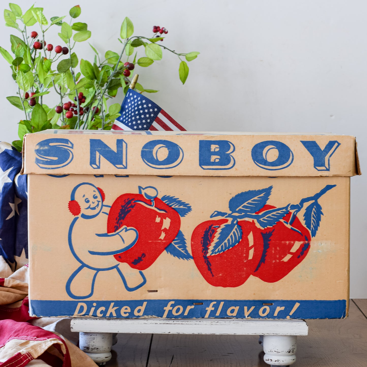 Vintage Snoboy Apple Box