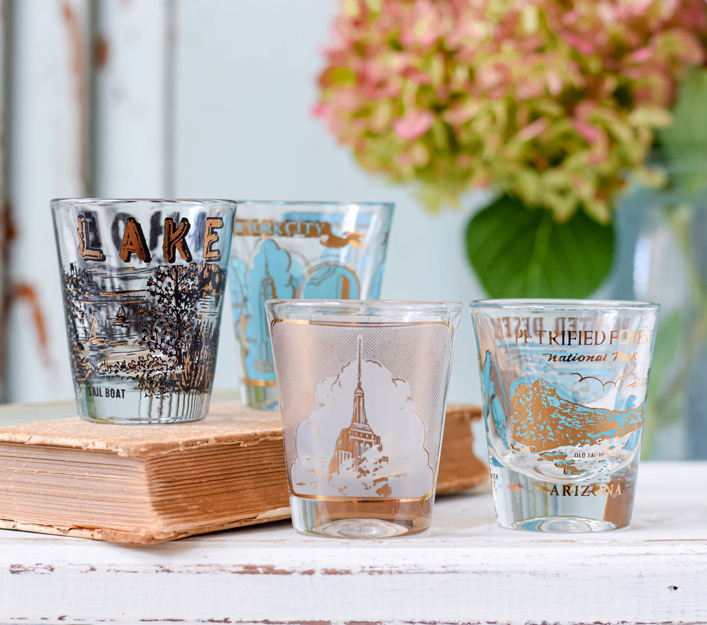 Travel Souvenir Shot Glasses