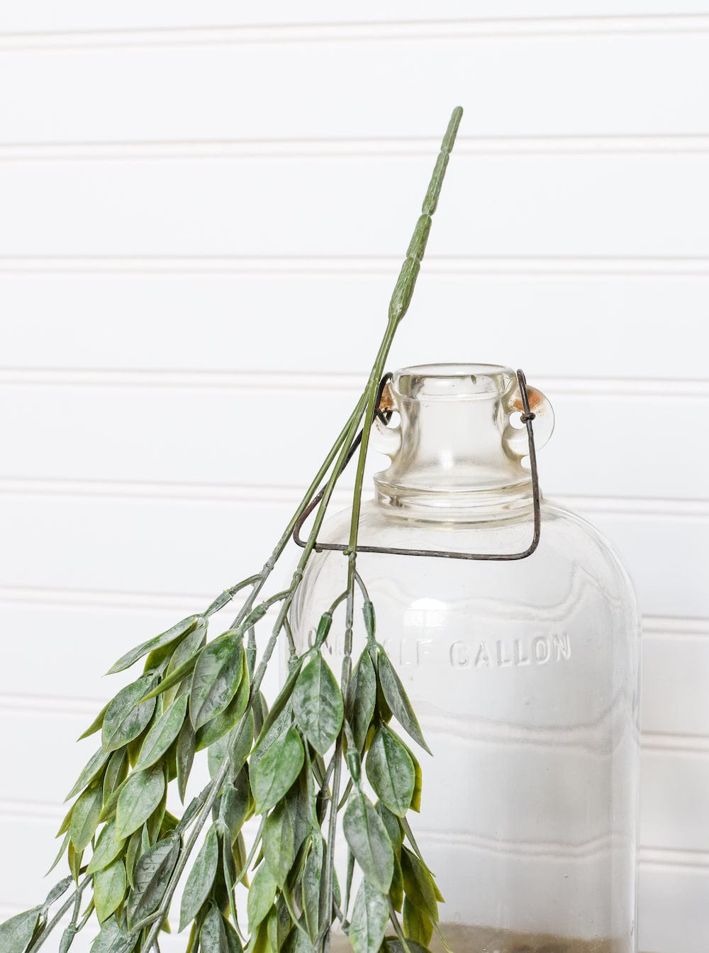 Rainwashed Hanging Bush